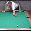 Buddy Hall vs. Marco Marquez *(F) (DVD) | 1998 World One Pocket Championships