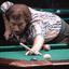 Jim Rempe vs. Francisco Bustamante* (DVD) | 1999 U.S. Open