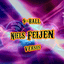 Niels Feijen vs. Earl Strickland** (DVD) | 2014 Derby City 9-Ball