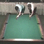 Johnny Archer vs. Danny DiLiberto* (DVD) | 1989 Lexington All-Star Open III
