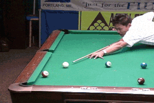 Efren Reyes vs. T.J. LaFlamme (DVD) | 1995 Maine Event