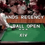 Kim Davenport vs. Jim Rempe (Finals) (DVD) | 14th. S.R.O. - December 1991