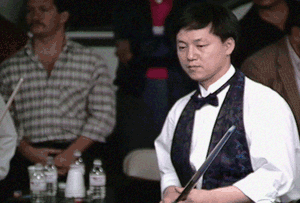Torbjorn Blomdahl vs. Michael Kang* (DVD) | 1992 SL Billiards